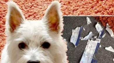 Куче разкъса скъпи билети за Челси - Манчестър Юнайтед