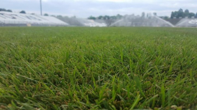 Стадионът на Локо (Пловдив) с нова трева 