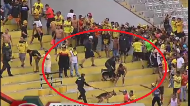 Екшън в Колумбия! Полиция с кучета сред феновете (ВИДЕО) 