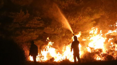 Oгнен ад! Играчи и фенове на Хайдук гасят огромен пожар в Хърватия (ВИДЕО/СНИМКИ)