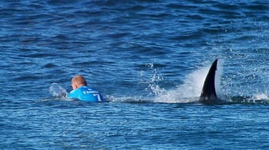 Сърфист пак оцеля след среща с акула (ВИДЕО)  