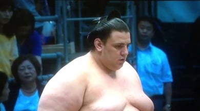 Аоияма пропуска есенния турнир по сумо