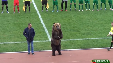 Мач в Русия започна с ... мечка (ВИДЕО)
