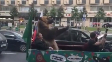 Празнуваща руска мечка като Роби Уилямс, показа неприлични жестове (ВИДЕО)