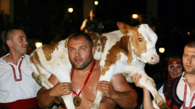 Кумчев баш шампион на народни борби, наградиха го с живо теле