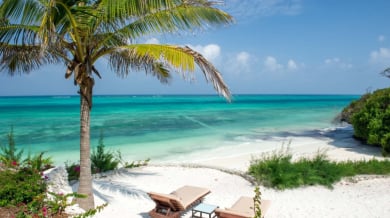 Цесекар посрещна 2026 година в райско кътче Снимки