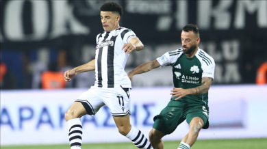 ПАОК мачка и без Десподов