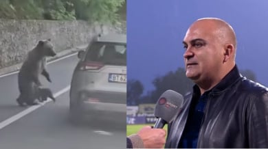 Нападнатият от румънска мечка българин: Имам рани по корема и гърба