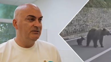 Българинът, нападнат от мечка в Румъния: Опита се да ме извади от колата