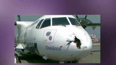 Щъркели атакували самолета на Динамо (Букурещ)