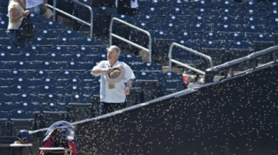 Пчели прекъснаха бейзболен мач