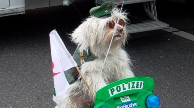 Полицейско куче наръфа двама фенове на Олимпик