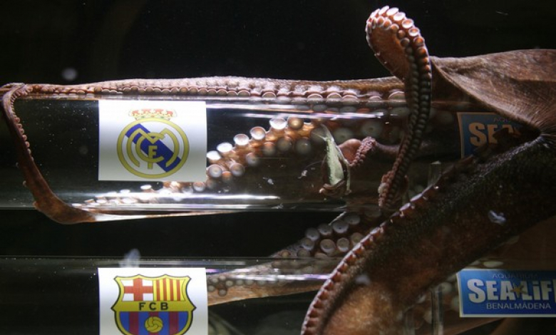 Октоподът Икер предрече победа за Реал