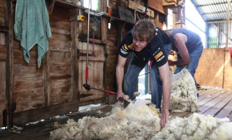 Световният шампион във Формула 1 Себастиан Фетел стриже овце