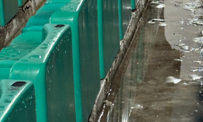 Снимка: БЛИЦ