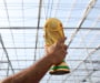 Статистически гигант посочи бъдещия световен шампион