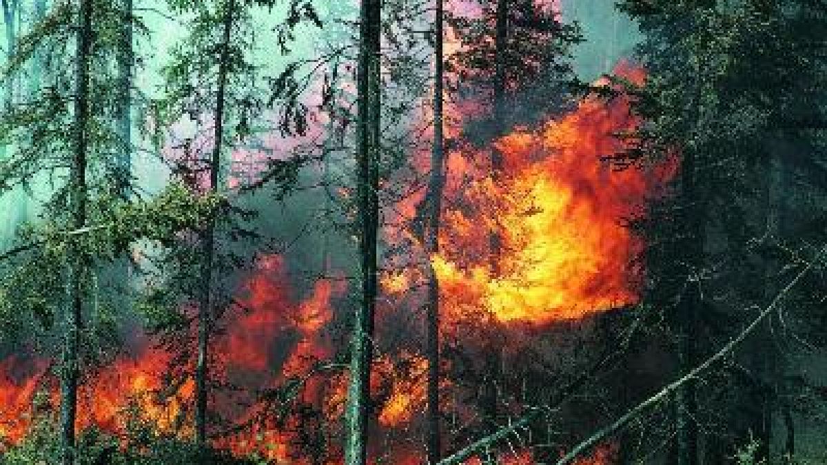 Два испански самолета ще гасят пожара в Рила
