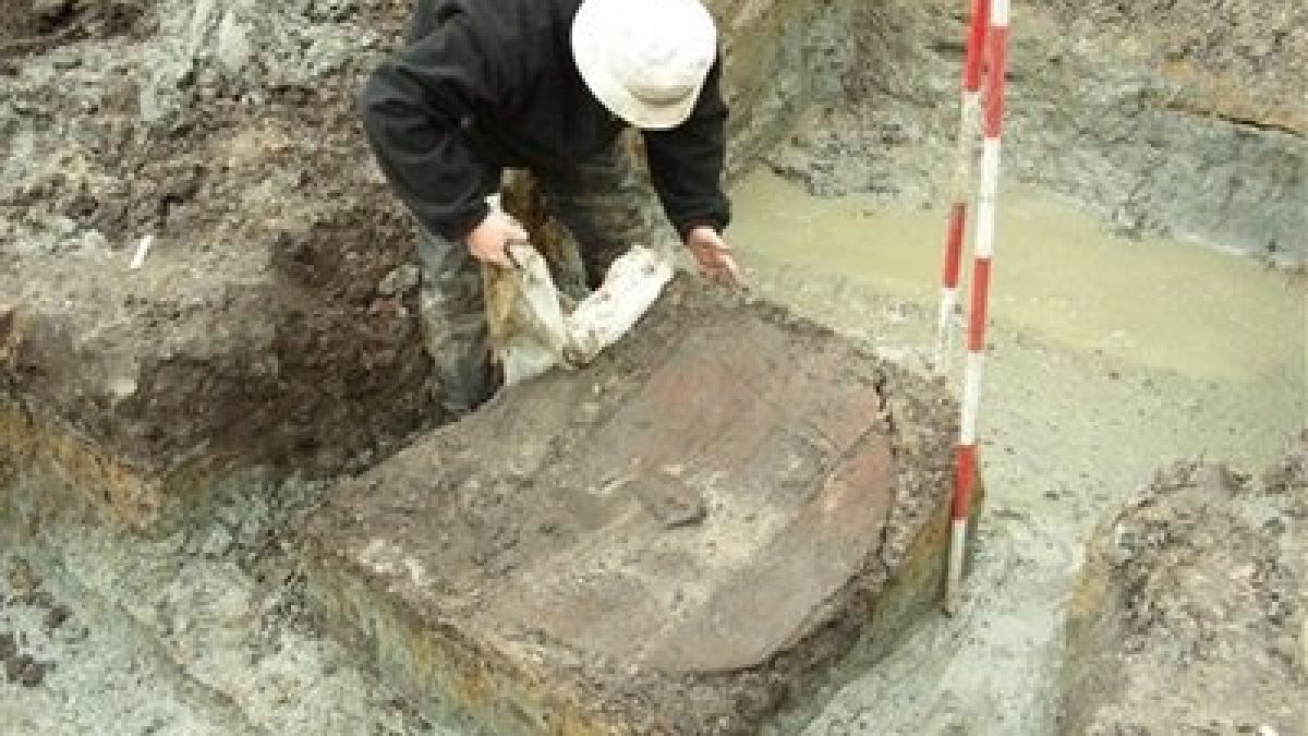 Откриха рядък щит на викингите в Дания