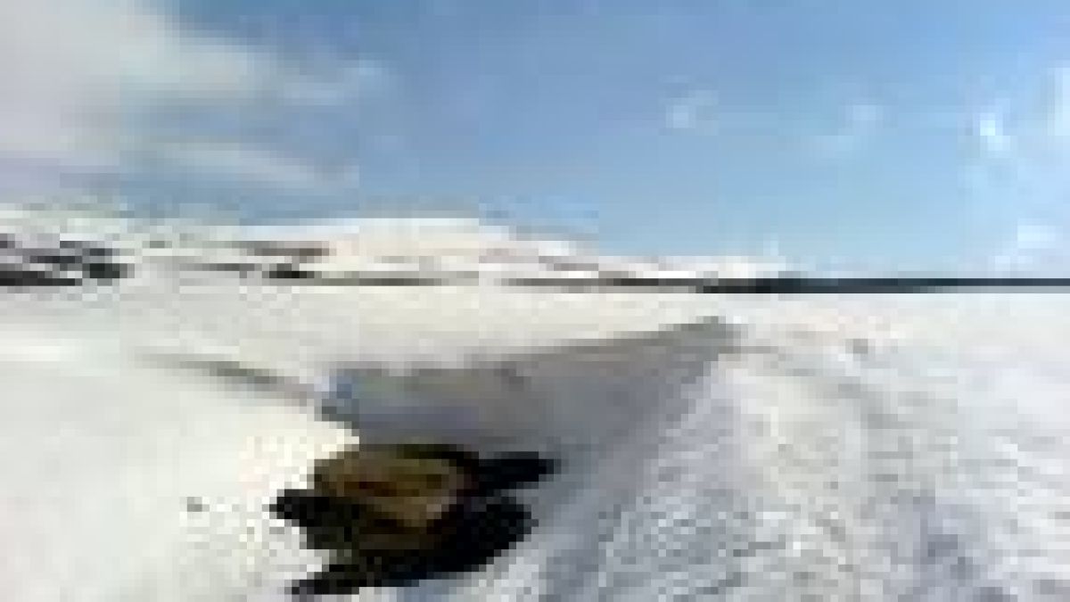 Туристи заседнаха в снега на Витоша 