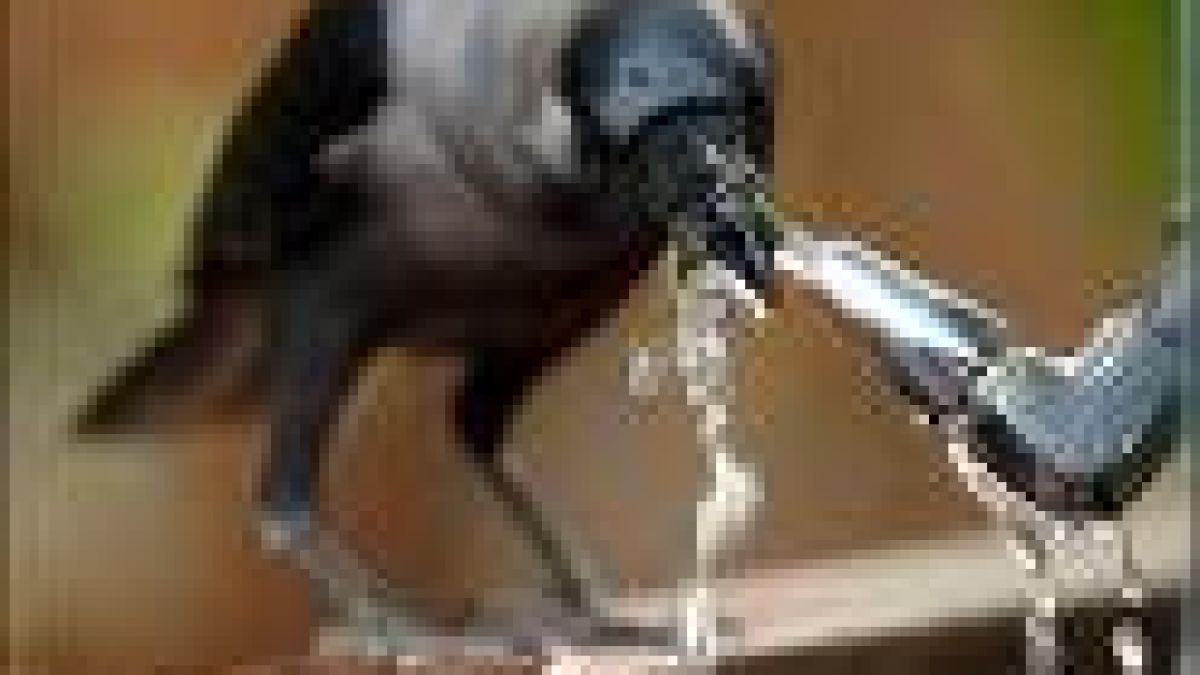 250 млн. лв. инвестира „Софийска вода” за пет години