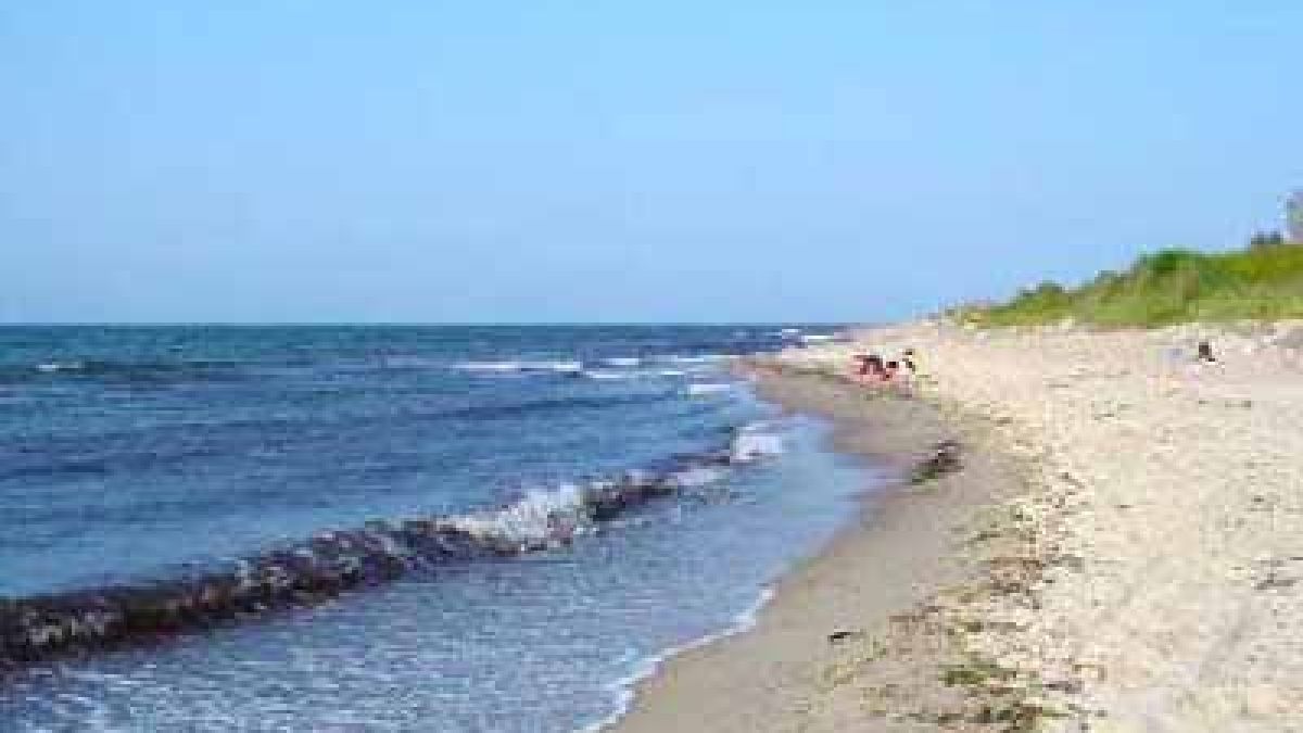 Екосистемата на Балтийско море е сериозно застрашена
