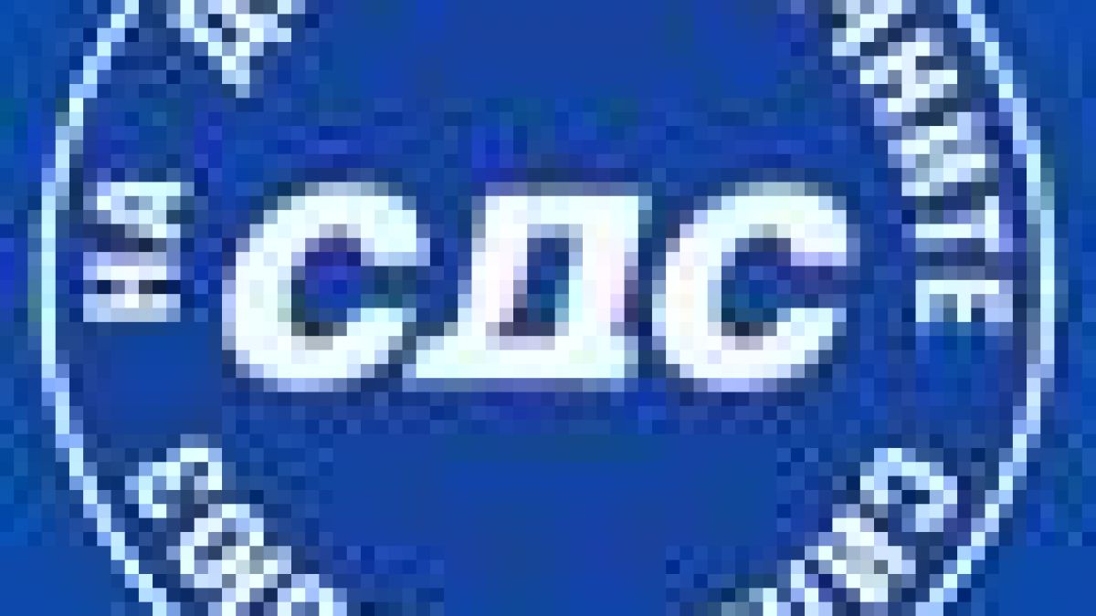 Членовете на СДС избират нов лидер 