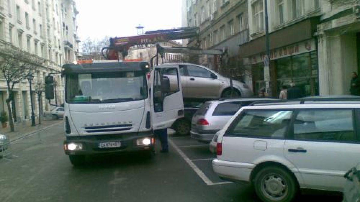 Паяците не се смилиха и преди празниците
