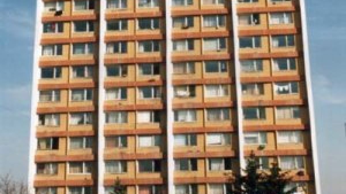 При реституция ректорите могат само да викат 
