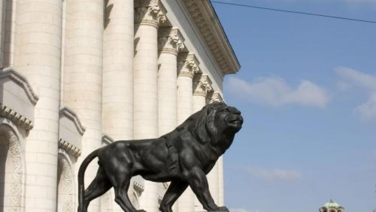 Убиецът на студента е с психично разстройство 