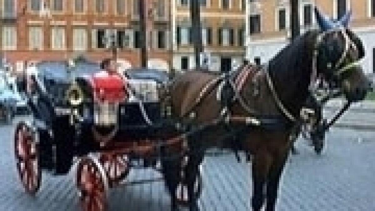 Гонят каляските с коне от историческия център на Рим
