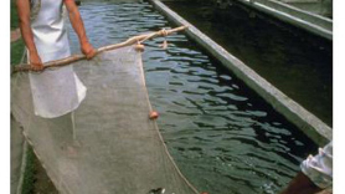 Ще търгуваме риби и раци с Швеция