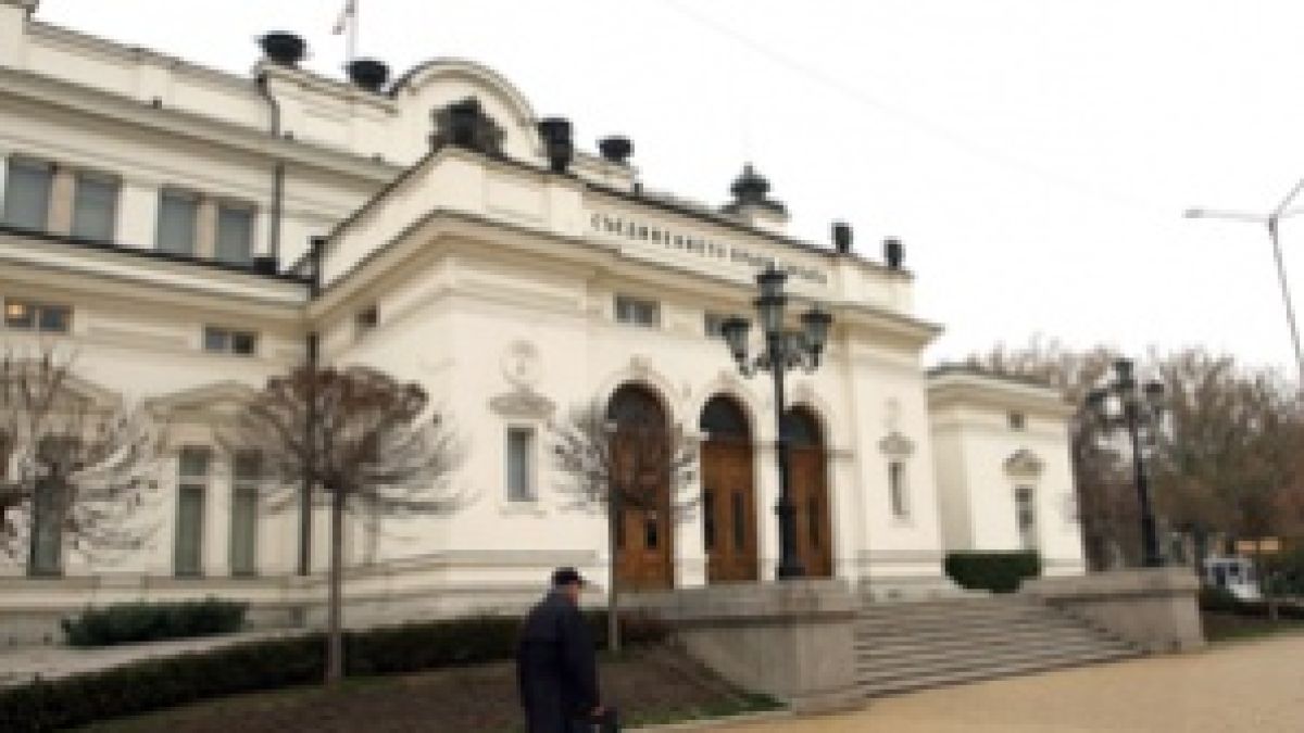 Дончева скочи срещу референдумите
