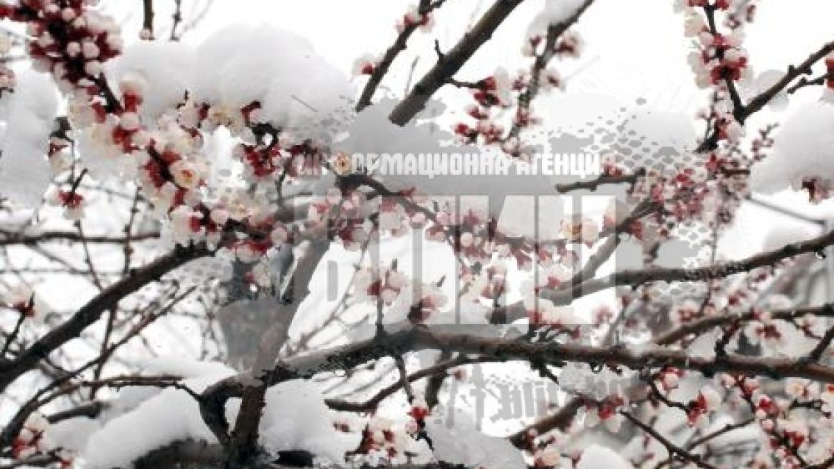 Война на сезоните в хасковския парк Кенана