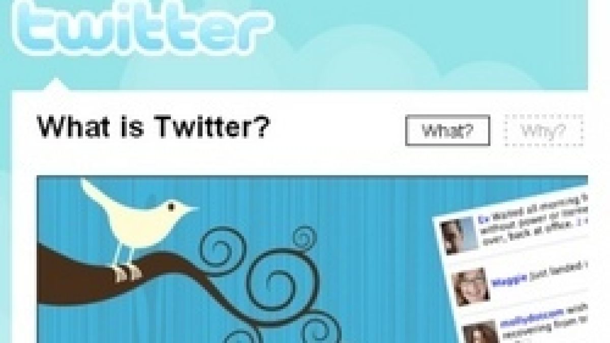 Twitter е най-бързо растящата мрежа в САЩ
