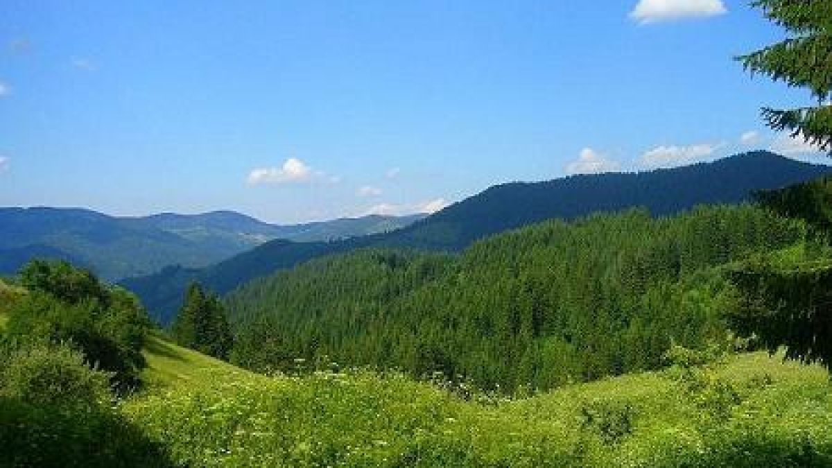 МЗХ пусна поредния списък за заменки