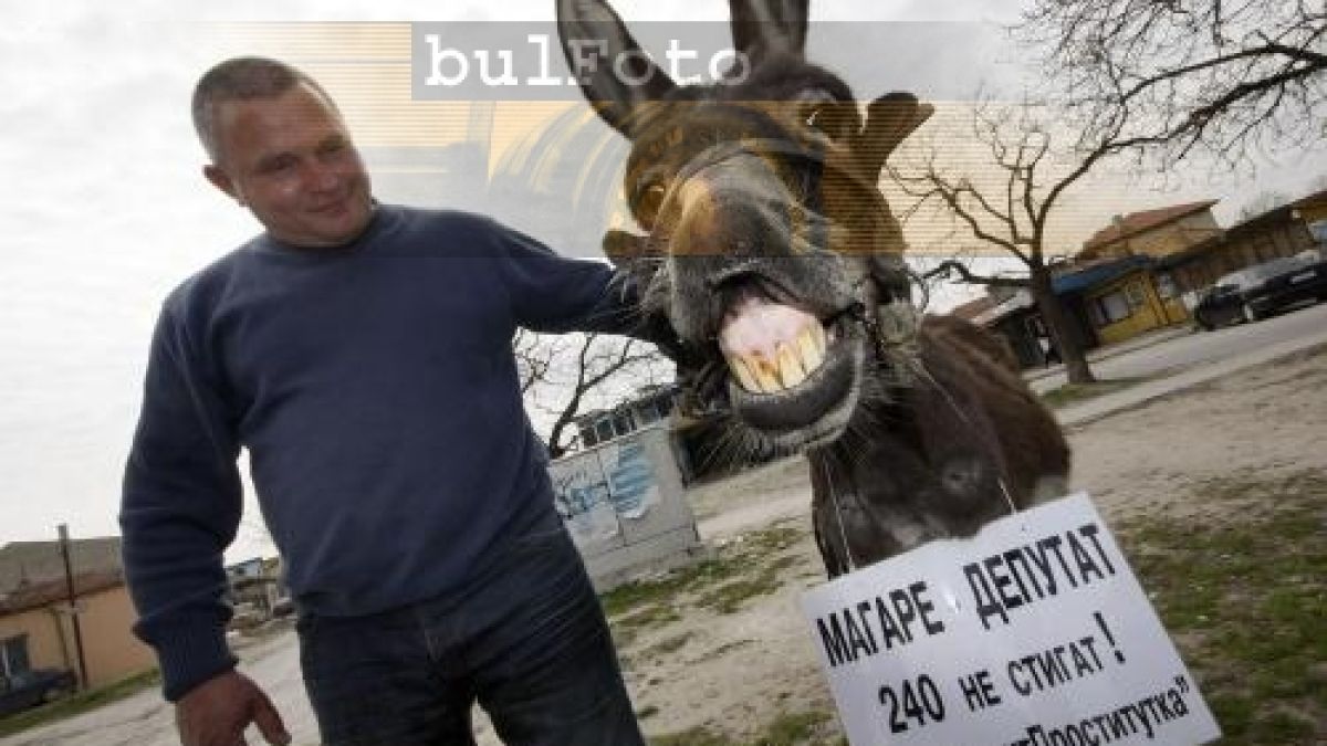 Росен Марков издигна кандидатурата на магаре за депутат 