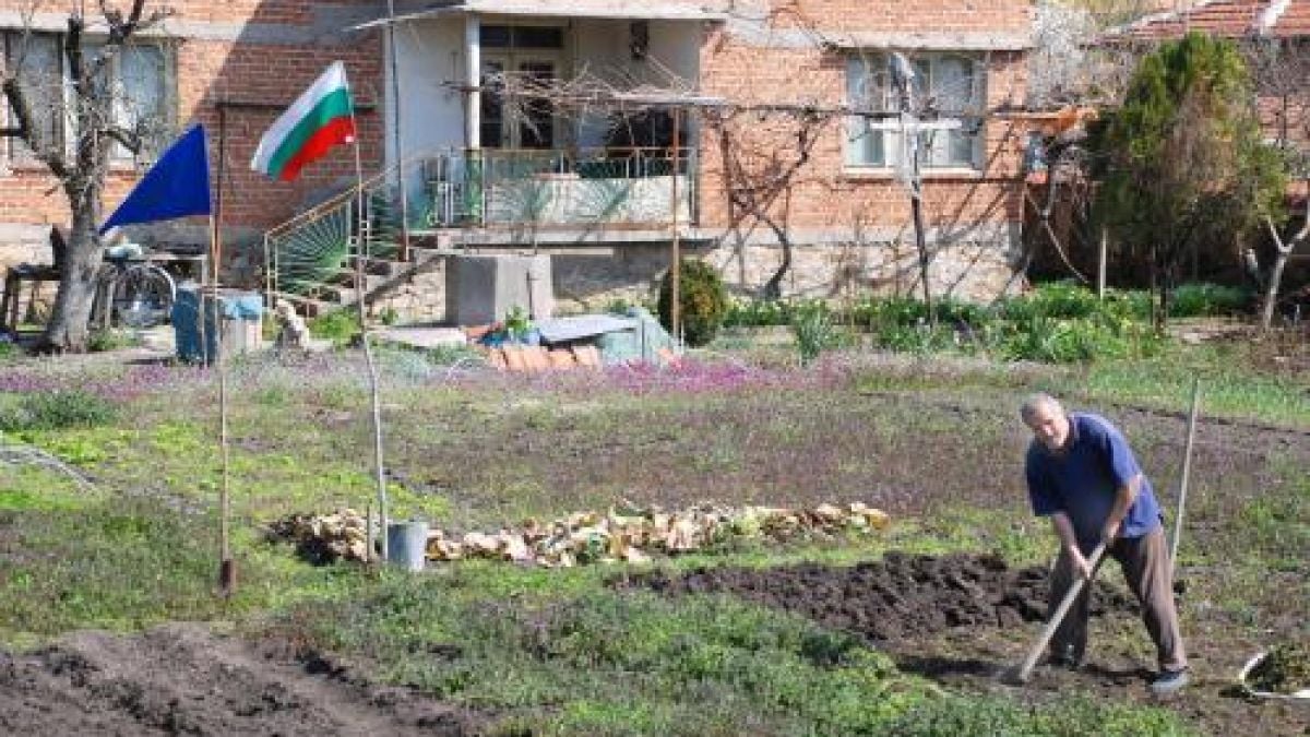 Патриот копае в градината си под националния флаг