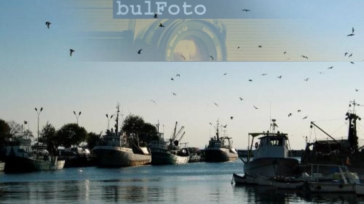 16 са похитените български моряци в Сомалия