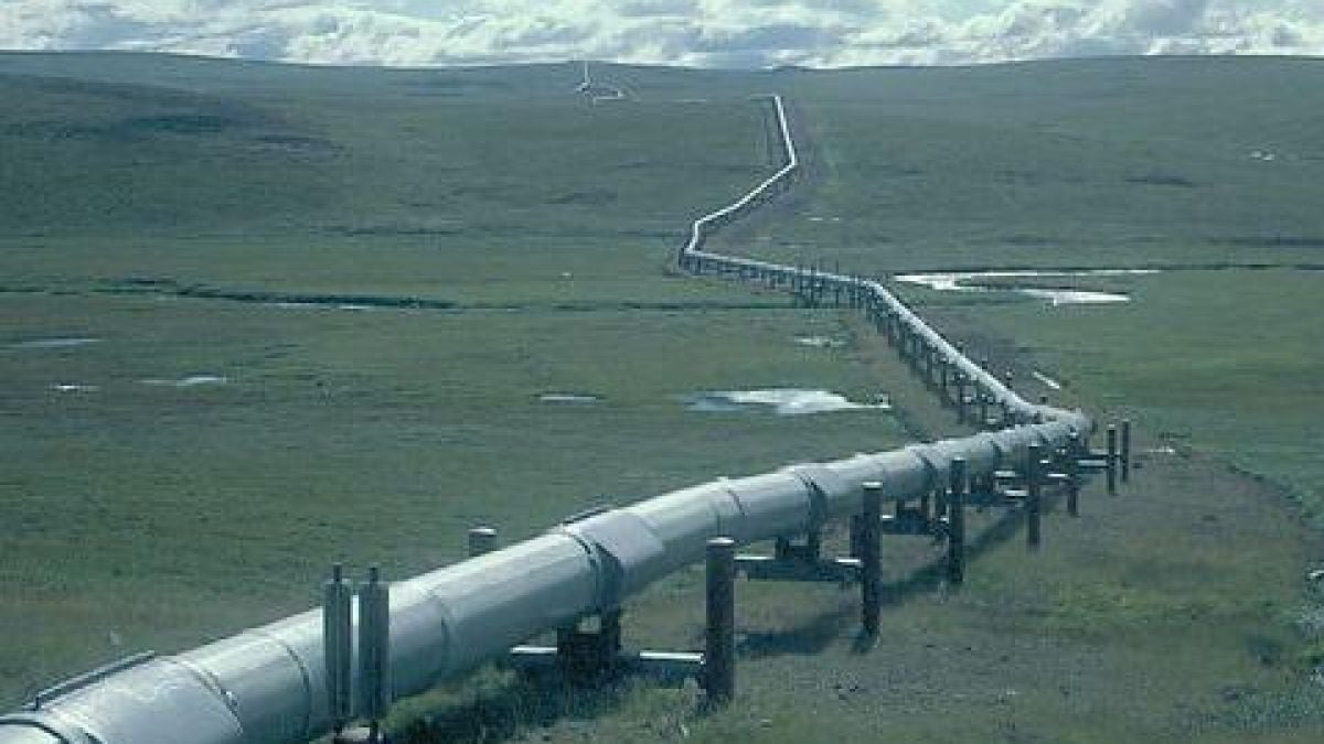 Газификацията спести 1,4 млн. лв. на община Велико Търново през 2008 г. 