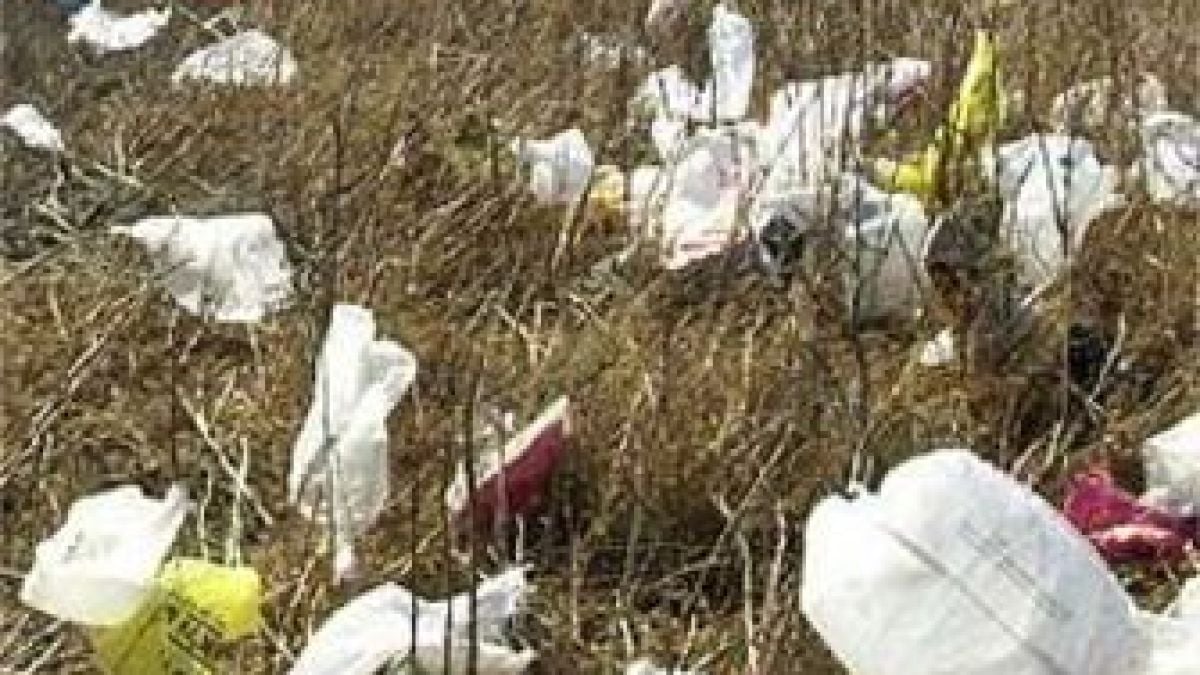 За повторно използване на найлоновите торбички във Великобритания