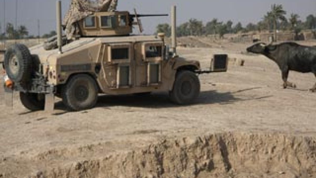 Военни взривяват свине в бронежилетки при изпитания