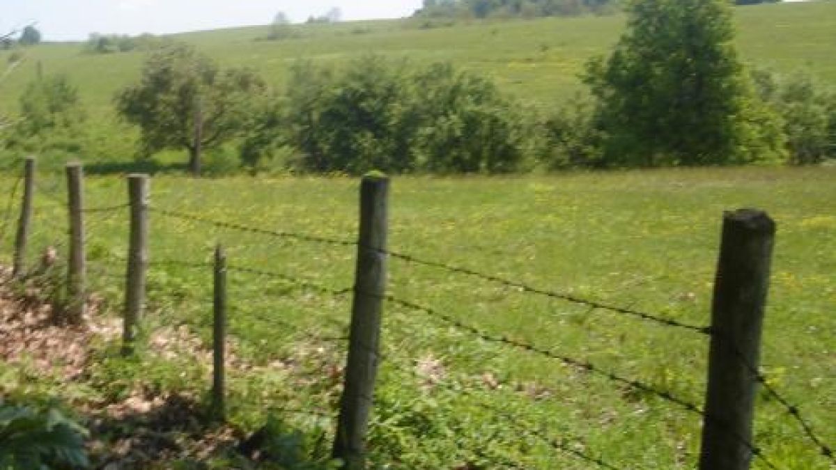 Пазят добитък и лозя с гранични заграждения