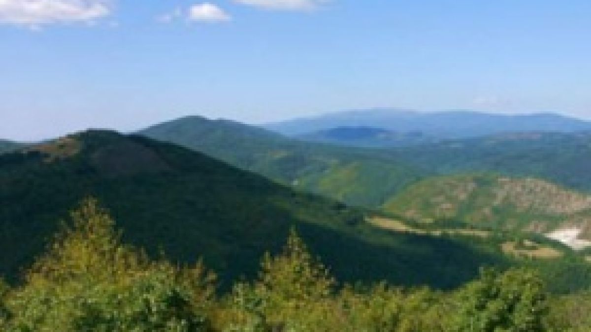 До последния миг БСП давала гори край морето за 5 лв./кв.м
