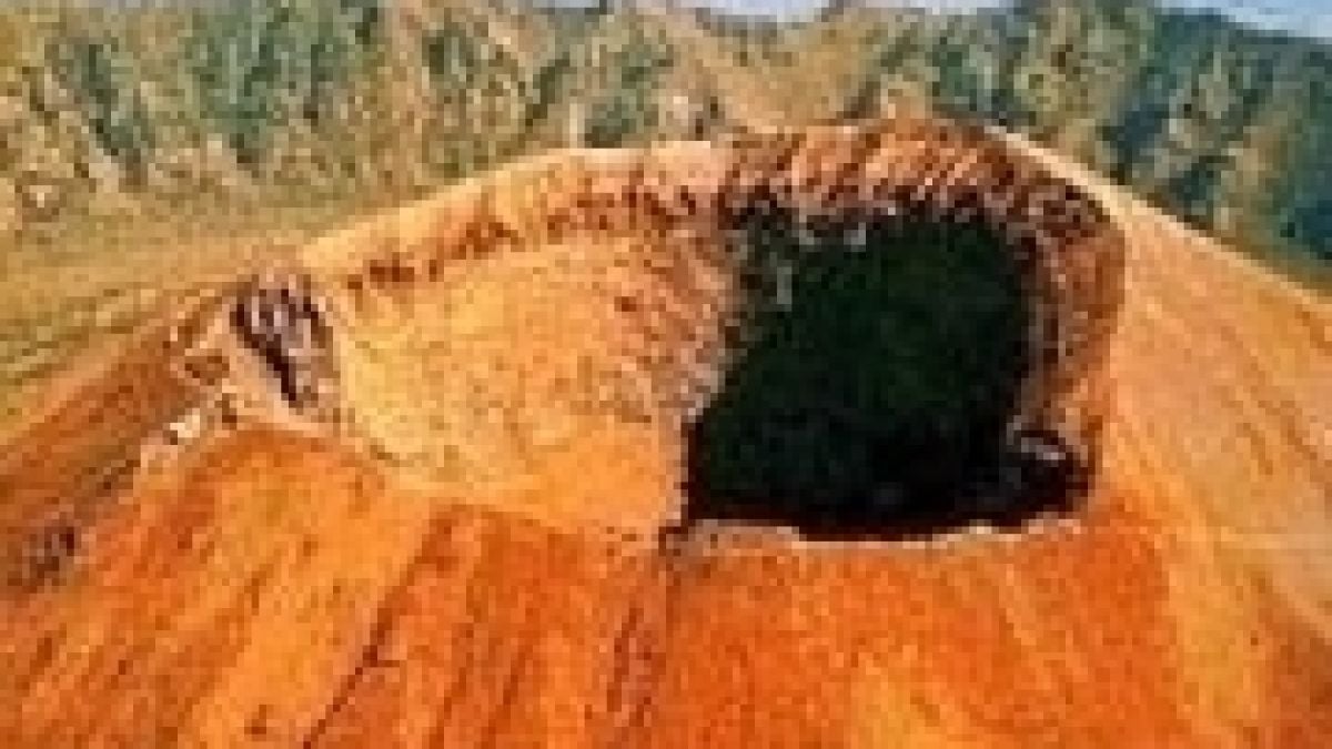 Предупреждават за опасност от изригването на Везувий