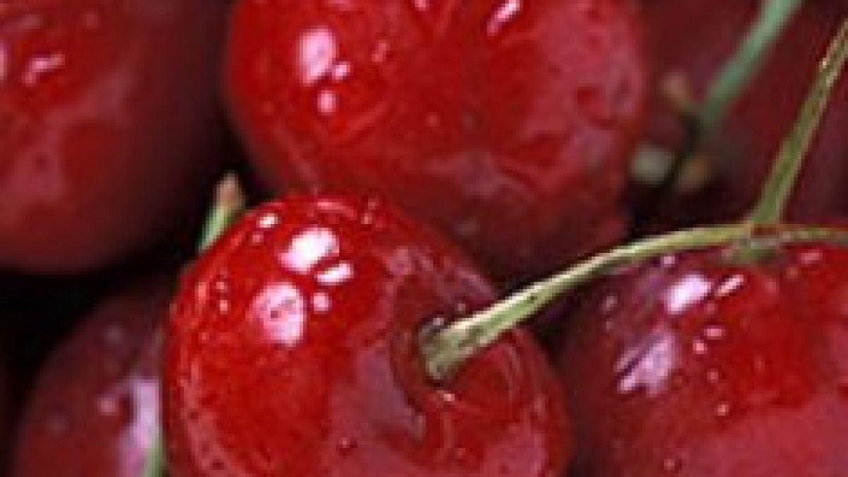 Първите череши - по 70 лв. за кг 