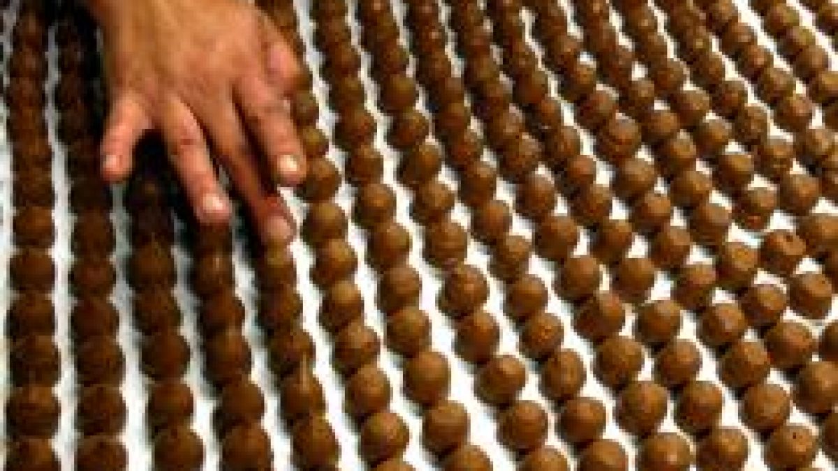 19 генетично модифицирани храни открити у нас