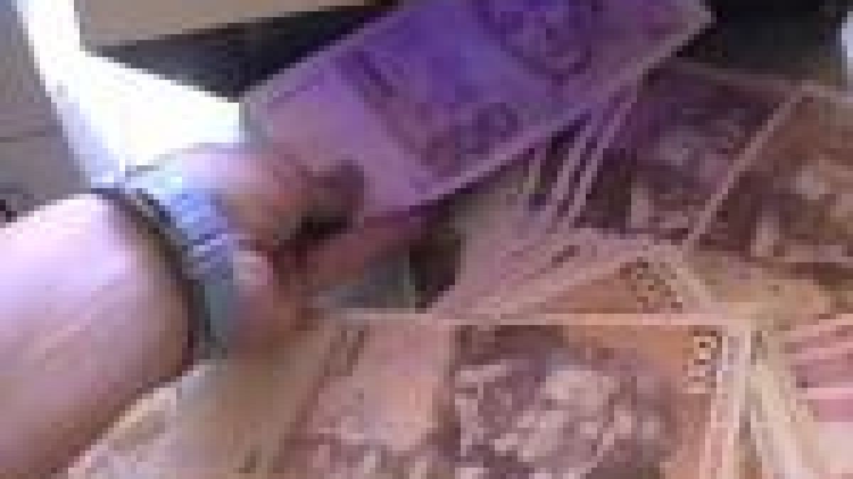 Иззеха над 11 400 евро на ГКПП Малко Търново 

