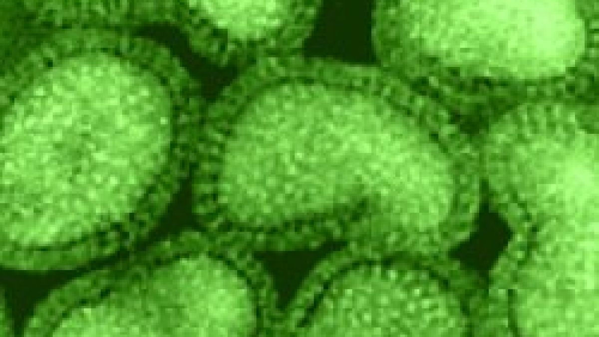 Няма опасност от разпространение на грипа A/H1N1 в Гърция