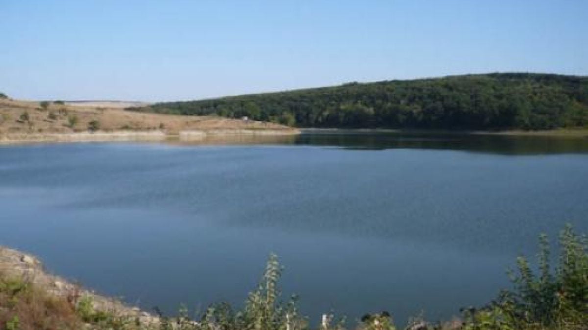 Две момчета се удавиха във водоем в Разградско