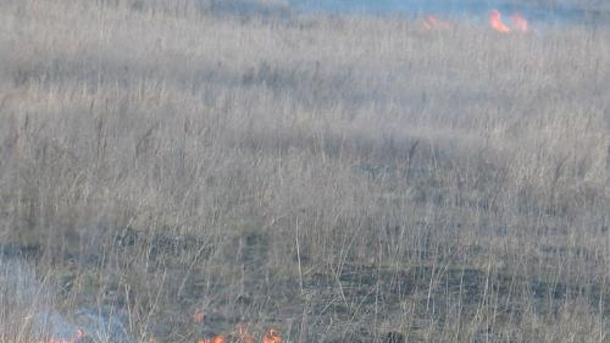 Пожар бушува край Стара Загора